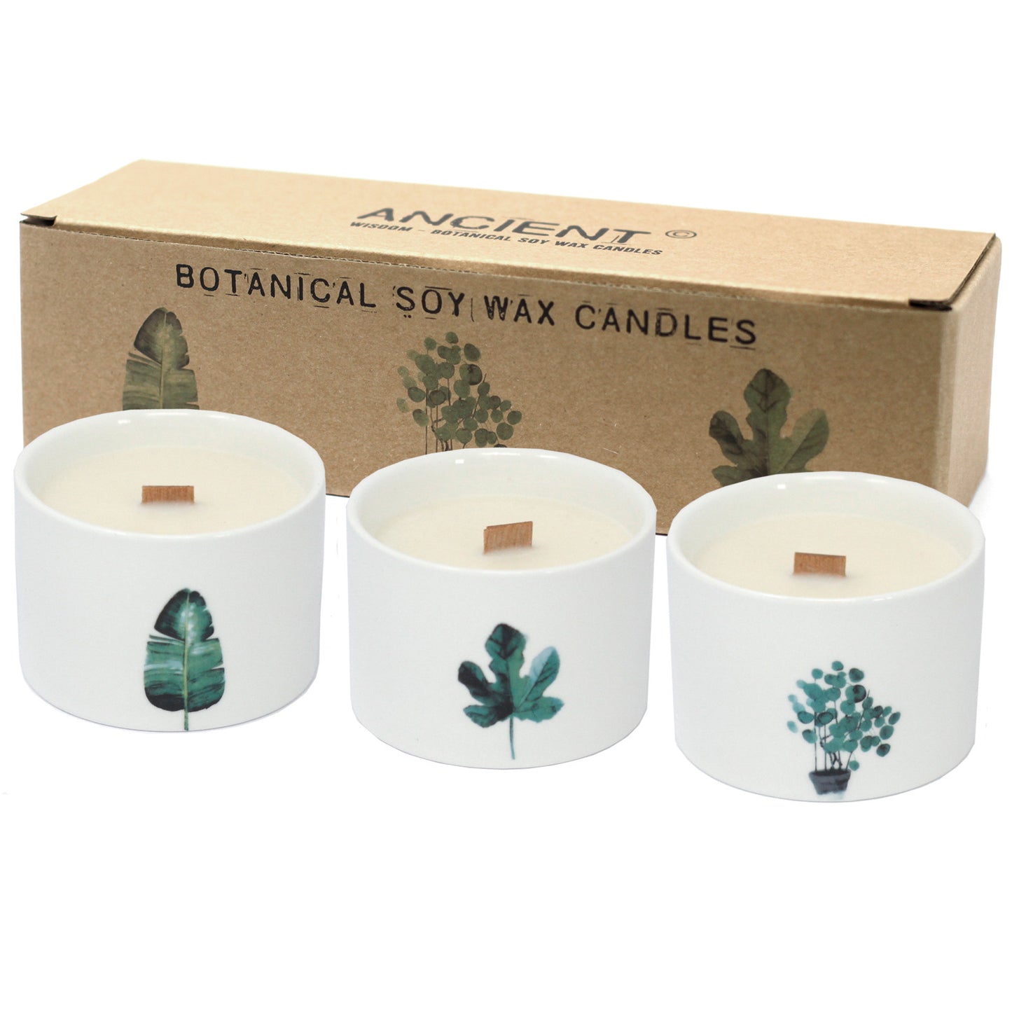 Botanical Candles Set - Japanese Garden - The Calm Qi